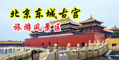 男人捅操捅女人黄色视频免费观看中国北京-东城古宫旅游风景区